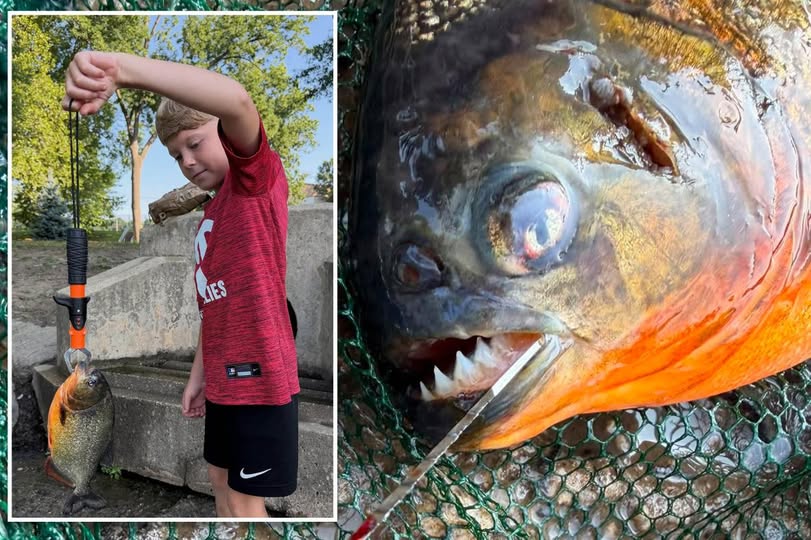 Pennsylvania Boy Hooks a Piranha Instead of a Bass