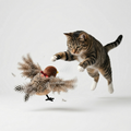 Flapping Bird Hunting Toy for Cats